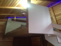 Amapa, AP, Macapa, Aluguel temporada,  Alugue temporada, apartamentos para alugar, Casa para alugar,  alugar casas,  aluguel de temporada,  aluguel por temporada, alugar apartamento,  alugar casa, casas pra alugar,  casas alugar, casa alugar, casa temporada, aluguel para temporada,