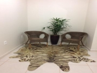 Minas Gerais, MG, Belo Horizonte, Aluguel temporada,  Alugue temporada, apartamentos para alugar, Casa para alugar,  alugar casas,  aluguel de temporada,  aluguel por temporada, alugar apartamento,  alugar casa, casas pra alugar,  casas alugar, casa alugar, casa temporada, aluguel para temporada,