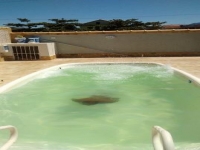 Pernambuco, PE, Recife, Aluguel temporada,  Alugue temporada, apartamentos para alugar, Casa para alugar,  alugar casas,  aluguel de temporada,  aluguel por temporada, alugar apartamento,  alugar casa, casas pra alugar,  casas alugar, casa alugar, casa temporada, aluguel para temporada,