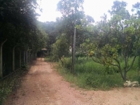 Acre, AC, Rio Branco, Aluguel temporada,  Alugue temporada, apartamentos para alugar, Casa para alugar,  alugar casas,  aluguel de temporada,  aluguel por temporada, alugar apartamento,  alugar casa, casas pra alugar,  casas alugar, casa alugar, casa temporada, aluguel para temporada,
