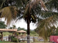 Minas Gerais, MG, Belo Horizonte, Aluguel temporada,  Alugue temporada, apartamentos para alugar, Casa para alugar,  alugar casas,  aluguel de temporada,  aluguel por temporada, alugar apartamento,  alugar casa, casas pra alugar,  casas alugar, casa alugar, casa temporada, aluguel para temporada,