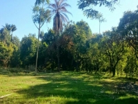 Sergipe, SE, Aracaju, Aluguel temporada,  Alugue temporada, apartamentos para alugar, Casa para alugar,  alugar casas,  aluguel de temporada,  aluguel por temporada, alugar apartamento,  alugar casa, casas pra alugar,  casas alugar, casa alugar, casa temporada, aluguel para temporada,