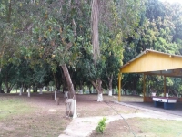 Piaui, PI, Teresina, Aluguel temporada,  Alugue temporada, apartamentos para alugar, Casa para alugar,  alugar casas,  aluguel de temporada,  aluguel por temporada, alugar apartamento,  alugar casa, casas pra alugar,  casas alugar, casa alugar, casa temporada, aluguel para temporada,