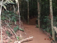 Mato Grosso, MT, Cuiaba, Aluguel temporada,  Alugue temporada, apartamentos para alugar, Casa para alugar,  alugar casas,  aluguel de temporada,  aluguel por temporada, alugar apartamento,  alugar casa, casas pra alugar,  casas alugar, casa alugar, casa temporada, aluguel para temporada,
