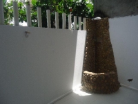 Alagoas, AL, Maceio, Aluguel temporada,  Alugue temporada, apartamentos para alugar, Casa para alugar,  alugar casas,  aluguel de temporada,  aluguel por temporada, alugar apartamento,  alugar casa, casas pra alugar,  casas alugar, casa alugar, casa temporada, aluguel para temporada,
