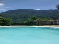 Paraná, PR, Curitiba, Aluguel temporada,  Alugue temporada, apartamentos para alugar, Casa para alugar,  alugar casas,  aluguel de temporada,  aluguel por temporada, alugar apartamento,  alugar casa, casas pra alugar,  casas alugar, casa alugar, casa temporada, aluguel para temporada,