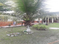 Roraima, RR, Boa Vista, Aluguel temporada,  Alugue temporada, apartamentos para alugar, Casa para alugar,  alugar casas,  aluguel de temporada,  aluguel por temporada, alugar apartamento,  alugar casa, casas pra alugar,  casas alugar, casa alugar, casa temporada, aluguel para temporada,