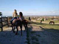 Para, PA, Belem, Aluguel temporada,  Alugue temporada, apartamentos para alugar, Casa para alugar,  alugar casas,  aluguel de temporada,  aluguel por temporada, alugar apartamento,  alugar casa, casas pra alugar,  casas alugar, casa alugar, casa temporada, aluguel para temporada,