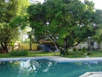 Paraná, PR, Curitiba, Aluguel temporada,  Alugue temporada, apartamentos para alugar, Casa para alugar,  alugar casas,  aluguel de temporada,  aluguel por temporada, alugar apartamento,  alugar casa, casas pra alugar,  casas alugar, casa alugar, casa temporada, aluguel para temporada,
