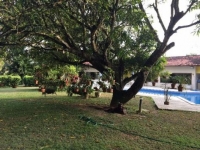 Paraná, PR, Curitiba, Aluguel temporada,  Alugue temporada, apartamentos para alugar, Casa para alugar,  alugar casas,  aluguel de temporada,  aluguel por temporada, alugar apartamento,  alugar casa, casas pra alugar,  casas alugar, casa alugar, casa temporada, aluguel para temporada,