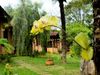 Roraima, RR, Boa Vista, Aluguel temporada,  Alugue temporada, apartamentos para alugar, Casa para alugar,  alugar casas,  aluguel de temporada,  aluguel por temporada, alugar apartamento,  alugar casa, casas pra alugar,  casas alugar, casa alugar, casa temporada, aluguel para temporada,