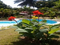 Goias, GO, Goiania, Aluguel temporada,  Alugue temporada, apartamentos para alugar, Casa para alugar,  alugar casas,  aluguel de temporada,  aluguel por temporada, alugar apartamento,  alugar casa, casas pra alugar,  casas alugar, casa alugar, casa temporada, aluguel para temporada,