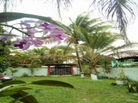 Paraná, PR, Curitiba, Aluguel temporada,  Alugue temporada, apartamentos para alugar, Casa para alugar,  alugar casas,  aluguel de temporada,  aluguel por temporada, alugar apartamento,  alugar casa, casas pra alugar,  casas alugar, casa alugar, casa temporada, aluguel para temporada,
