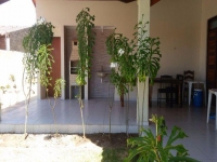 Rio Grande do Sul, RS, Porto Alegre, Aluguel temporada,  Alugue temporada, apartamentos para alugar, Casa para alugar,  alugar casas,  aluguel de temporada,  aluguel por temporada, alugar apartamento,  alugar casa, casas pra alugar,  casas alugar, casa alugar, casa temporada, aluguel para temporada,