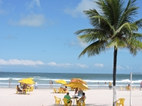 Espirito Santo, ES, Vitória, Aluguel temporada,  Alugue temporada, apartamentos para alugar, Casa para alugar,  alugar casas,  aluguel de temporada,  aluguel por temporada, alugar apartamento,  alugar casa, casas pra alugar,  casas alugar, casa alugar, casa temporada, aluguel para temporada,