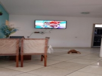 Rio Grande do Sul, RS, Porto Alegre, Aluguel temporada,  Alugue temporada, apartamentos para alugar, Casa para alugar,  alugar casas,  aluguel de temporada,  aluguel por temporada, alugar apartamento,  alugar casa, casas pra alugar,  casas alugar, casa alugar, casa temporada, aluguel para temporada,