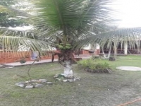 Roraima, RR, Boa Vista, Aluguel temporada,  Alugue temporada, apartamentos para alugar, Casa para alugar,  alugar casas,  aluguel de temporada,  aluguel por temporada, alugar apartamento,  alugar casa, casas pra alugar,  casas alugar, casa alugar, casa temporada, aluguel para temporada,