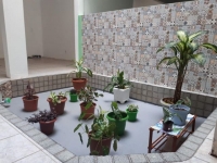 Rio Grande do Sul, RS, Porto Alegre, Aluguel temporada,  Alugue temporada, apartamentos para alugar, Casa para alugar,  alugar casas,  aluguel de temporada,  aluguel por temporada, alugar apartamento,  alugar casa, casas pra alugar,  casas alugar, casa alugar, casa temporada, aluguel para temporada,