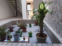 Rio Grande do Sul, RS, Porto Alegre, Aluguel temporada,  Alugue temporada, apartamentos para alugar, Casa para alugar,  alugar casas,  aluguel de temporada,  aluguel por temporada, alugar apartamento,  alugar casa, casas pra alugar,  casas alugar, casa alugar, casa temporada, aluguel para temporada,