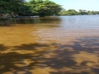 Paraná, PR, Curitiba, Aluguel temporada,  Alugue temporada, apartamentos para alugar, Casa para alugar,  alugar casas,  aluguel de temporada,  aluguel por temporada, alugar apartamento,  alugar casa, casas pra alugar,  casas alugar, casa alugar, casa temporada, aluguel para temporada,