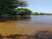 Paraná, PR, Curitiba, Aluguel temporada,  Alugue temporada, apartamentos para alugar, Casa para alugar,  alugar casas,  aluguel de temporada,  aluguel por temporada, alugar apartamento,  alugar casa, casas pra alugar,  casas alugar, casa alugar, casa temporada, aluguel para temporada,
