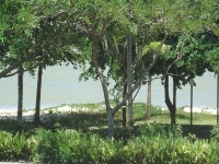 Paraná, PR, Curitiba, Aluguel temporada,  Alugue temporada, apartamentos para alugar, Casa para alugar,  alugar casas,  aluguel de temporada,  aluguel por temporada, alugar apartamento,  alugar casa, casas pra alugar,  casas alugar, casa alugar, casa temporada, aluguel para temporada,