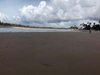 Bahia, BA, Salvador, Aluguel temporada,  Alugue temporada, apartamentos para alugar, Casa para alugar,  alugar casas,  aluguel de temporada,  aluguel por temporada, alugar apartamento,  alugar casa, casas pra alugar,  casas alugar, casa alugar, casa temporada, aluguel para temporada,