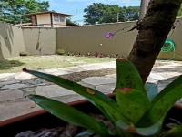 Mato Grosso, MT, Cuiaba, Aluguel temporada,  Alugue temporada, apartamentos para alugar, Casa para alugar,  alugar casas,  aluguel de temporada,  aluguel por temporada, alugar apartamento,  alugar casa, casas pra alugar,  casas alugar, casa alugar, casa temporada, aluguel para temporada,