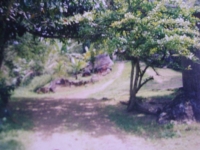 Pernambuco, PE, Recife, Aluguel temporada,  Alugue temporada, apartamentos para alugar, Casa para alugar,  alugar casas,  aluguel de temporada,  aluguel por temporada, alugar apartamento,  alugar casa, casas pra alugar,  casas alugar, casa alugar, casa temporada, aluguel para temporada,