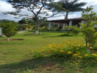 Ceara, CE, Fortaleza, Aluguel temporada,  Alugue temporada, apartamentos para alugar, Casa para alugar,  alugar casas,  aluguel de temporada,  aluguel por temporada, alugar apartamento,  alugar casa, casas pra alugar,  casas alugar, casa alugar, casa temporada, aluguel para temporada,