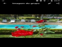Bahia, BA, Salvador, Aluguel temporada,  Alugue temporada, apartamentos para alugar, Casa para alugar,  alugar casas,  aluguel de temporada,  aluguel por temporada, alugar apartamento,  alugar casa, casas pra alugar,  casas alugar, casa alugar, casa temporada, aluguel para temporada,