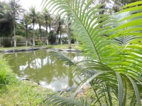 Alagoas, AL, Maceio, Aluguel temporada,  Alugue temporada, apartamentos para alugar, Casa para alugar,  alugar casas,  aluguel de temporada,  aluguel por temporada, alugar apartamento,  alugar casa, casas pra alugar,  casas alugar, casa alugar, casa temporada, aluguel para temporada,