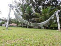 Alagoas, AL, Maceio, Aluguel temporada,  Alugue temporada, apartamentos para alugar, Casa para alugar,  alugar casas,  aluguel de temporada,  aluguel por temporada, alugar apartamento,  alugar casa, casas pra alugar,  casas alugar, casa alugar, casa temporada, aluguel para temporada,