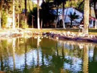 Alagoas, AL, Maceio, Aluguel temporada,  Alugue temporada, apartamentos para alugar, Casa para alugar,  alugar casas,  aluguel de temporada,  aluguel por temporada, alugar apartamento,  alugar casa, casas pra alugar,  casas alugar, casa alugar, casa temporada, aluguel para temporada,