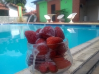 Alagoas, AL, Maceio, Aluguel temporada,  Alugue temporada, apartamentos para alugar, Casa para alugar,  alugar casas,  aluguel de temporada,  aluguel por temporada, alugar apartamento,  alugar casa, casas pra alugar,  casas alugar, casa alugar, casa temporada, aluguel para temporada,