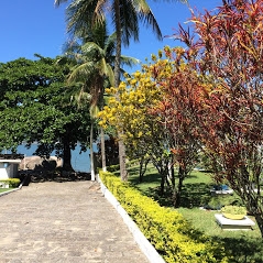 Paraná, PR, Curitiba, Aluguel temporada,  Alugue temporada, apartamentos para alugar, Casa para alugar,  alugar casas,  aluguel de temporada,  aluguel por temporada, alugar apartamento,  alugar casa, casas pra alugar,  casas alugar, casa alugar, casa temporada, aluguel para temporada,