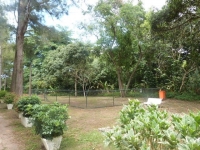 Rio Grande do Norte, RN, Natal, Aluguel temporada,  Alugue temporada, apartamentos para alugar, Casa para alugar,  alugar casas,  aluguel de temporada,  aluguel por temporada, alugar apartamento,  alugar casa, casas pra alugar,  casas alugar, casa alugar, casa temporada, aluguel para temporada,
