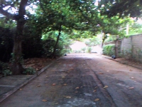 Maranhao, MA, Sao Luis, Aluguel temporada,  Alugue temporada, apartamentos para alugar, Casa para alugar,  alugar casas,  aluguel de temporada,  aluguel por temporada, alugar apartamento,  alugar casa, casas pra alugar,  casas alugar, casa alugar, casa temporada, aluguel para temporada,