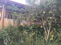 Goias, GO, Goiania, Aluguel temporada,  Alugue temporada, apartamentos para alugar, Casa para alugar,  alugar casas,  aluguel de temporada,  aluguel por temporada, alugar apartamento,  alugar casa, casas pra alugar,  casas alugar, casa alugar, casa temporada, aluguel para temporada,