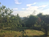 Goias, GO, Goiania, Aluguel temporada,  Alugue temporada, apartamentos para alugar, Casa para alugar,  alugar casas,  aluguel de temporada,  aluguel por temporada, alugar apartamento,  alugar casa, casas pra alugar,  casas alugar, casa alugar, casa temporada, aluguel para temporada,