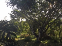 Goias, GO, Goiania, Aluguel temporada,  Alugue temporada, apartamentos para alugar, Casa para alugar,  alugar casas,  aluguel de temporada,  aluguel por temporada, alugar apartamento,  alugar casa, casas pra alugar,  casas alugar, casa alugar, casa temporada, aluguel para temporada,