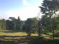 Goias, GO, Goiania, Aluguel temporada,  Alugue temporada, apartamentos para alugar, Casa para alugar,  alugar casas,  aluguel de temporada,  aluguel por temporada, alugar apartamento,  alugar casa, casas pra alugar,  casas alugar, casa alugar, casa temporada, aluguel para temporada,