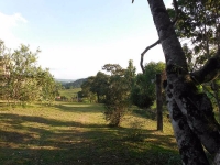 Goias, GO, Goiania, Aluguel temporada,  Alugue temporada, apartamentos para alugar, Casa para alugar,  alugar casas,  aluguel de temporada,  aluguel por temporada, alugar apartamento,  alugar casa, casas pra alugar,  casas alugar, casa alugar, casa temporada, aluguel para temporada,