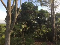 Goias, GO, Goiania, Aluguel temporada,  Alugue temporada, apartamentos para alugar, Casa para alugar,  alugar casas,  aluguel de temporada,  aluguel por temporada, alugar apartamento,  alugar casa, casas pra alugar,  casas alugar, casa alugar, casa temporada, aluguel para temporada,