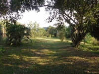 Goias, GO, Goiania, Aluguel temporada,  Alugue temporada, apartamentos para alugar, Casa para alugar,  alugar casas,  aluguel de temporada,  aluguel por temporada, alugar apartamento,  alugar casa, casas pra alugar,  casas alugar, casa alugar, casa temporada, aluguel para temporada,