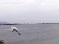 Para, PA, Belem, Aluguel temporada,  Alugue temporada, apartamentos para alugar, Casa para alugar,  alugar casas,  aluguel de temporada,  aluguel por temporada, alugar apartamento,  alugar casa, casas pra alugar,  casas alugar, casa alugar, casa temporada, aluguel para temporada,