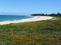 Alagoas, AL, Maceio, Aluguel temporada,  Alugue temporada, apartamentos para alugar, Casa para alugar,  alugar casas,  aluguel de temporada,  aluguel por temporada, alugar apartamento,  alugar casa, casas pra alugar,  casas alugar, casa alugar, casa temporada, aluguel para temporada,