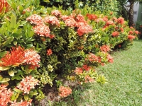Alagoas, AL, Maceio, Aluguel temporada,  Alugue temporada, apartamentos para alugar, Casa para alugar,  alugar casas,  aluguel de temporada,  aluguel por temporada, alugar apartamento,  alugar casa, casas pra alugar,  casas alugar, casa alugar, casa temporada, aluguel para temporada,