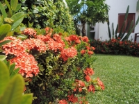 Alagoas, AL, Maceio, Aluguel temporada,  Alugue temporada, apartamentos para alugar, Casa para alugar,  alugar casas,  aluguel de temporada,  aluguel por temporada, alugar apartamento,  alugar casa, casas pra alugar,  casas alugar, casa alugar, casa temporada, aluguel para temporada,
