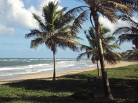 Pernambuco, PE, Recife, Aluguel temporada,  Alugue temporada, apartamentos para alugar, Casa para alugar,  alugar casas,  aluguel de temporada,  aluguel por temporada, alugar apartamento,  alugar casa, casas pra alugar,  casas alugar, casa alugar, casa temporada, aluguel para temporada,